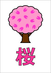 桜の貼り紙画像