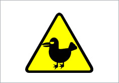 鳥注意の貼り紙画像3