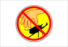 昆虫採取禁止の貼り紙画像3