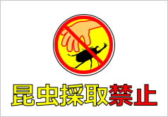 昆虫採取禁止の貼り紙画像4