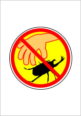 昆虫採取禁止の貼り紙画像9