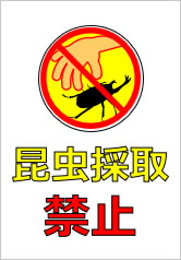 昆虫採取禁止の貼り紙画像10