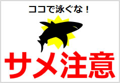 サメ注意の貼り紙画像6