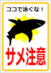 サメ注意の貼り紙画像12