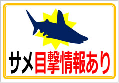 サメ目撃情報ありの貼り紙画像4