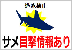 サメ目撃情報ありの貼り紙画像6