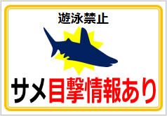サメ目撃情報ありの貼り紙画像6