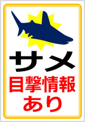 サメ目撃情報ありの貼り紙画像10