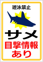 サメ目撃情報ありの貼り紙画像12
