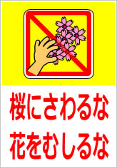 桜にさわらない、桜の花をむしらないの貼り紙画像11